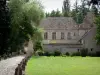 Villeconin - Allée menant au château de Villeconin ; dans la vallée de la Renarde