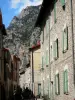 Villefranche-de-Conflent - Fachadas de la villa medieval