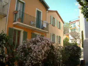 Villefranche-sur-Mer - Kleurrijke huizen en bloemen (jasmijn)