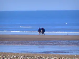 Villers-sur-Mer - Blumenküste: Strand des Badeortes mit Spaziergängern, bei Ebbe, und Meer (der Ärmelkanal)