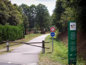 Voie Verte (Green Lane) - Cycle path of the Voie Verte (Green Lane,  former railroad) lined with trees