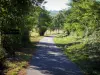 Voie Verte (Green Lane) - Cycle path of the Voie Verte (Green Lane,  former railroad) lined with trees