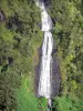 Voile de la Mariée waterfall - Waterfall bordered by vegetation