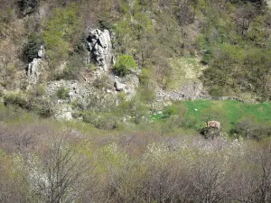 Volane-Tal - Regionale Naturpark der Ardèche-Berge: Berglandschaft mit Bäumen