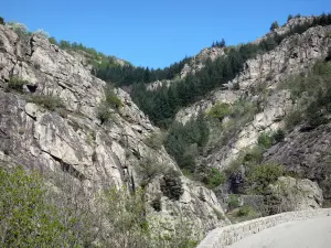 Volane-Tal - Regionale Naturpark der Ardèche-Berge: Strasse durchziehend das Tal