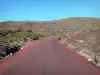 Volcano road - Volcano forest road leading to the Piton de la Fournaise peak