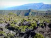 Volcano road - Panorama from the volcano forest road