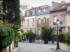 Volksbuurtje Campagne à Paris - Bekijk gebloemde gevels van huizen in de buurt van de campagne naar Parijs