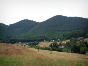 Vosges (Northern) - Pastures, houses, trees and hills covered with forests (Northern Vosges Regional Nature Park)