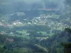 Vosgi della Saona - Foreste, alberi, prati e case in caso di nebbia (Parco Naturale Regionale dei Ballons des Vosges)