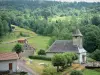 Vosgi della Saona - Chiesa e case di un villaggio, una foresta (Parco Naturale Regionale dei Ballons des Vosges)