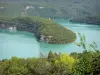 Vouglans lake - Lake (artificial lake), meander, shores with trees, forests