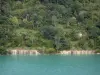 Vouglans lake - Trees along the water