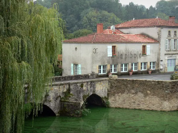 Vouvant - Bridge on the River Mère, weeping willow and houses of the village