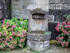 Vouvant - Well and hydrangeas