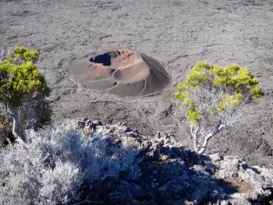 Vulkan Piton de la Fournaise - Nationalpark der Réunion: Blick auf den Krater des Formica Léo und den Pflanzenwuchs des vulkanischen Gebirges