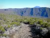 Vulkan Piton de la Fournaise - Landschaft vom Fussweg des Bergs Partage aus