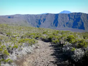 Vulkan Piton de la Fournaise - Landschaft vom Fussweg des Bergs Partage aus