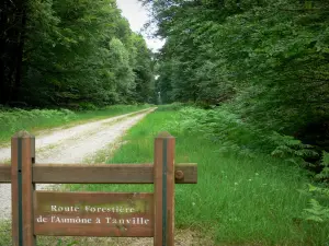 Wald von Ecouves - Holzschild der Waldstrasse von Aumône nach Tanville und Waldbäume