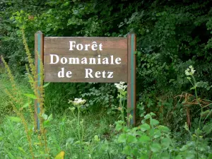 Wald von Retz - Signalschild des Staatswaldes Retz