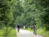 Wald von Sénart - Staatswald: Radfahrweg gesäumt von Bäumen, mit Radfahrer und Joggers