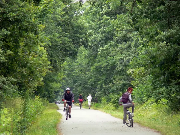 Wald von Sénart - Führer für Tourismus, Urlaub & Wochenende in der Essonne