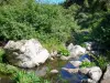 Wald Tévelave - Fluss gesäumt von Pflanzenwuchs