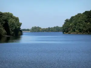 Wald von Tronçais - Teich Pirot und Bäume des Staatswaldes von Tronçais