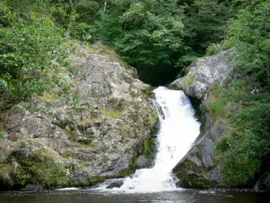 Wasserfall von Gouloux - Kaskade des Caillot in einer grünen Umwelt; im Regionalen Naturpark des Morvan