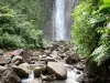 Wasserfälle des Carbet - Zweiter Wasserfall des Carbet, tropische Pflanzenwelt und Fluss sich schlängelnd zwischen den Felsen; auf der Gemeinde Capesterre-Belle-Eau und der Insel Basse-Terre, im Nationalpark der Guadeloupe
