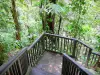 Wasserfälle des Carbet - Angelegter Weg im tropischen Wald
