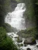 Wasserfälle des Hérisson - Wasserfall Eventail, Felsen und Bäume