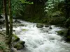 Wasserfälle des Hérisson - Fluss (der Hérisson), Felsen, Bäume am Rande des Wassers
