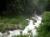 Wasserfälle des Hérisson - Fluss (der Hérisson), Felsen, Bäume und Pfad