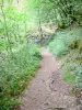 Wasserfälle Murel - Fussweg führend zu den Kaskaden 