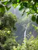 Watervallen van Carbet - Bekijk de eerste en tweede watervallen Carbet in een groene natuurlijke omgeving