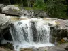 Watervallen van Cauterets - Cascade (waterval)