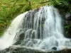 Watervallen van Murel - Murel waterval in de kloof Franche Valeine; in de stad Albussac