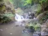 Watervallen van Murel - Waterval in het hart van de Gorges van de Franche Valeine