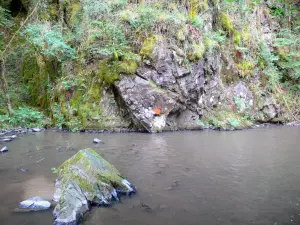 Watervallen van Murel - Wandelen langs de kreek Franche Valeine