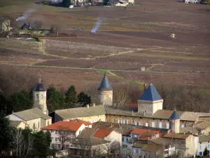 Weinanbaugebiet Beaujolais - Dorf Saint-Lager und Weinanbau