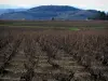 Weinanbaugebiet Beaujolais - Weinanbau und Hügel