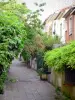 Wijk van la Mouzaïa - Verharde oprit bekleed met vegetatie en kleine huizen