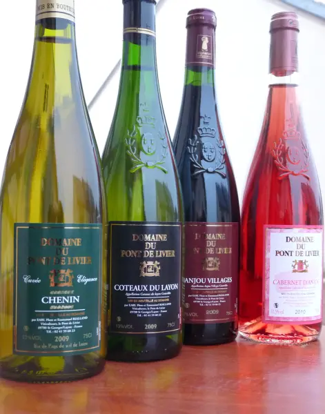 De wijnen van Anjou enSaumur - Gids voor gastronomie, vrijetijdsbesteding & weekend in de Maine-et-Loire