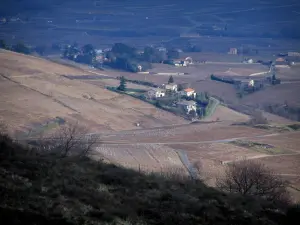 Wijnstreek van het Beaujolais - Vanaf het terras Chiroubles, met uitzicht op de wijngaarden