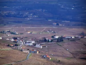 Wijnstreek van het Beaujolais - Wijngaarden en huizen