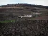 Wijnstreek van het Beaujolais - Huizen en wijngaarden van Mount Brouilly