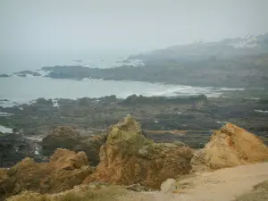 Wild coast (côte sauvage) - Cliffs and the sea (Atlantic Ocean)