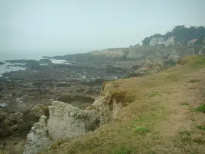 Wild coast (côte sauvage) - Grassland, cliffs, houses, cliffs and the sea (Atlantic Ocean)