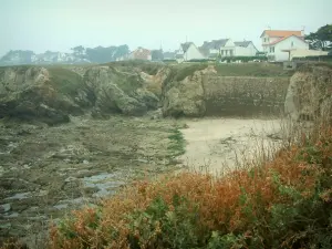 Wild coast (côte sauvage) - Vegetation in foreground, sand, cliffs and houses